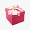 Mystery Gift